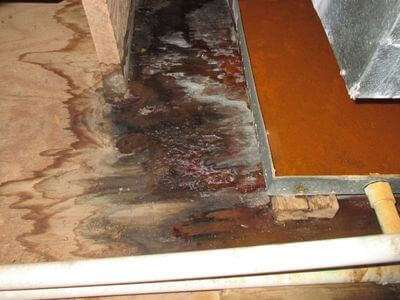 About water damage restoration service - emergency water extraction services experts in Pittsburgh